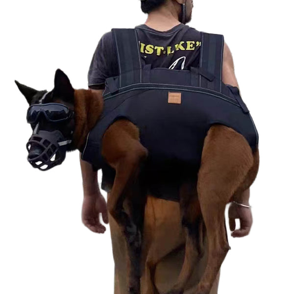 BigDog Comfort Carrier