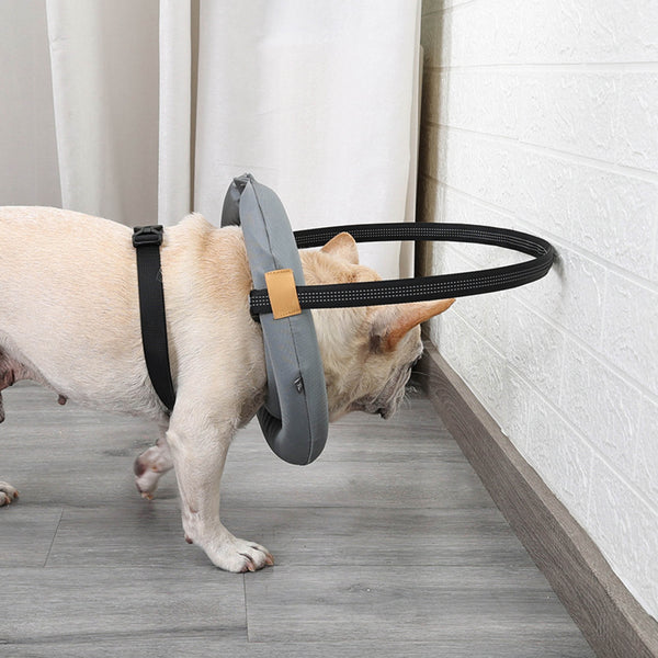 Blind Pet Safety Collar with Removable Bumper