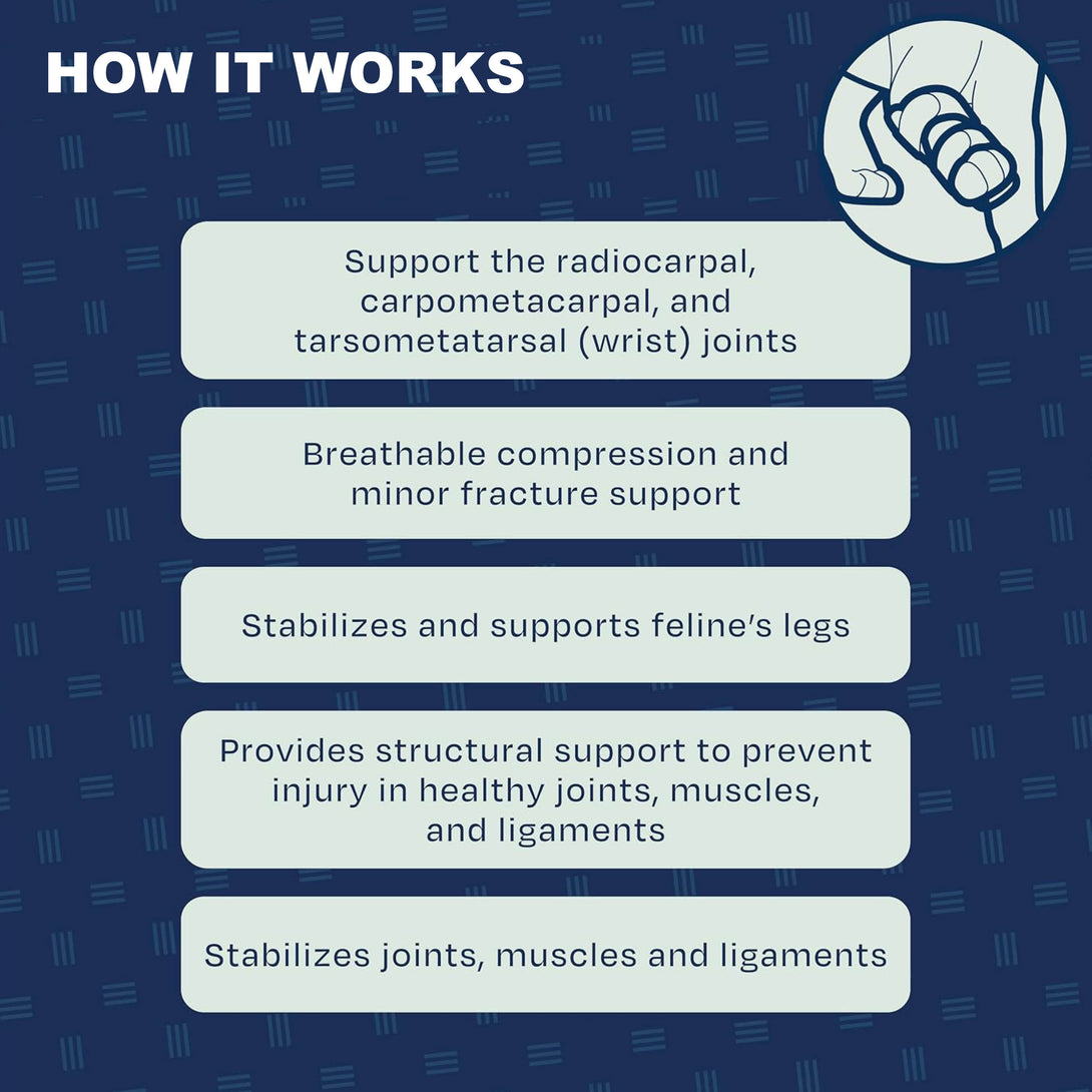 Cat Front Leg Wrist Brace for Sprains, Strains & Minor Injuries – PawPattz
