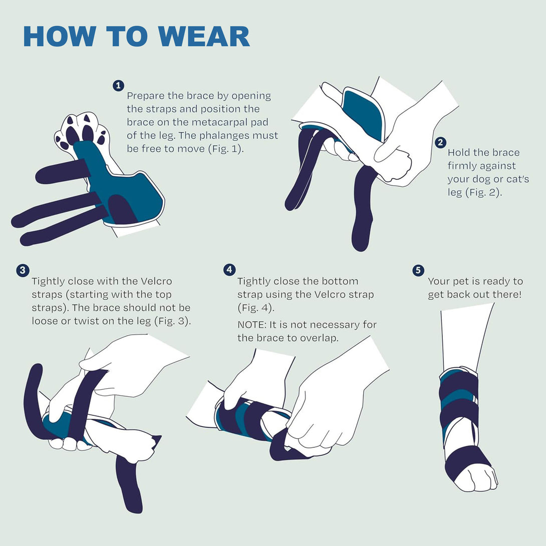 Cat Front Leg Wrist Brace for Sprains, Strains & Minor Injuries – PawPattz