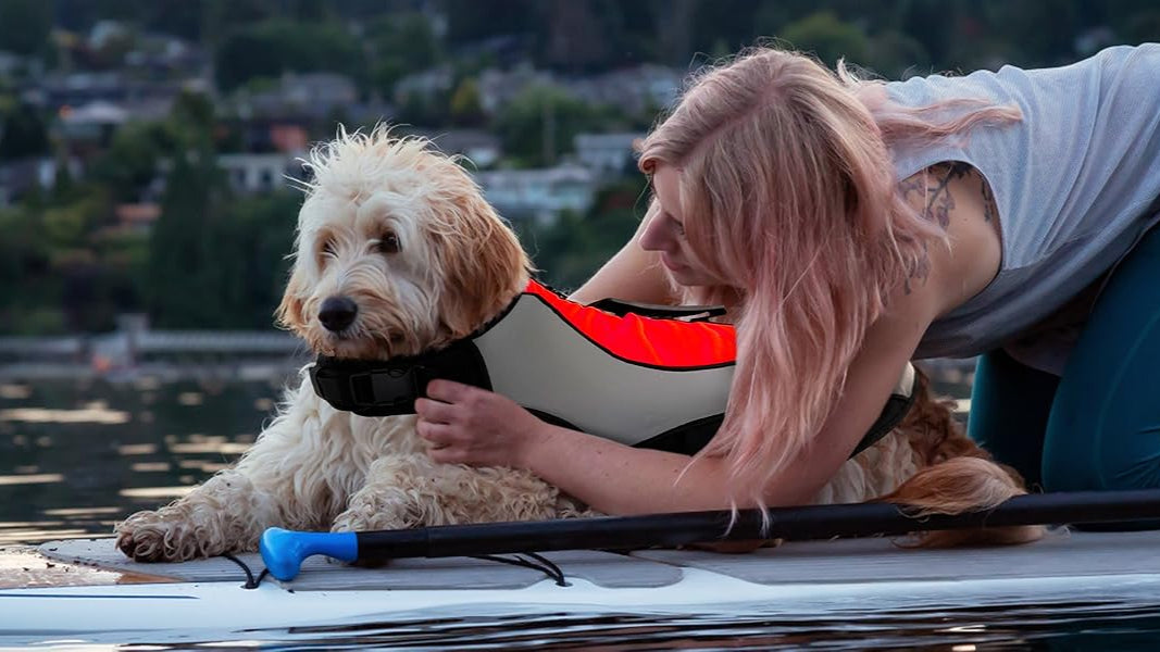 Person and dog on a paddleboard with a life jacket in a scenic outdoor setting
