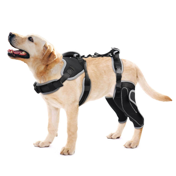 Dog ACL Knee Brace Pro+
