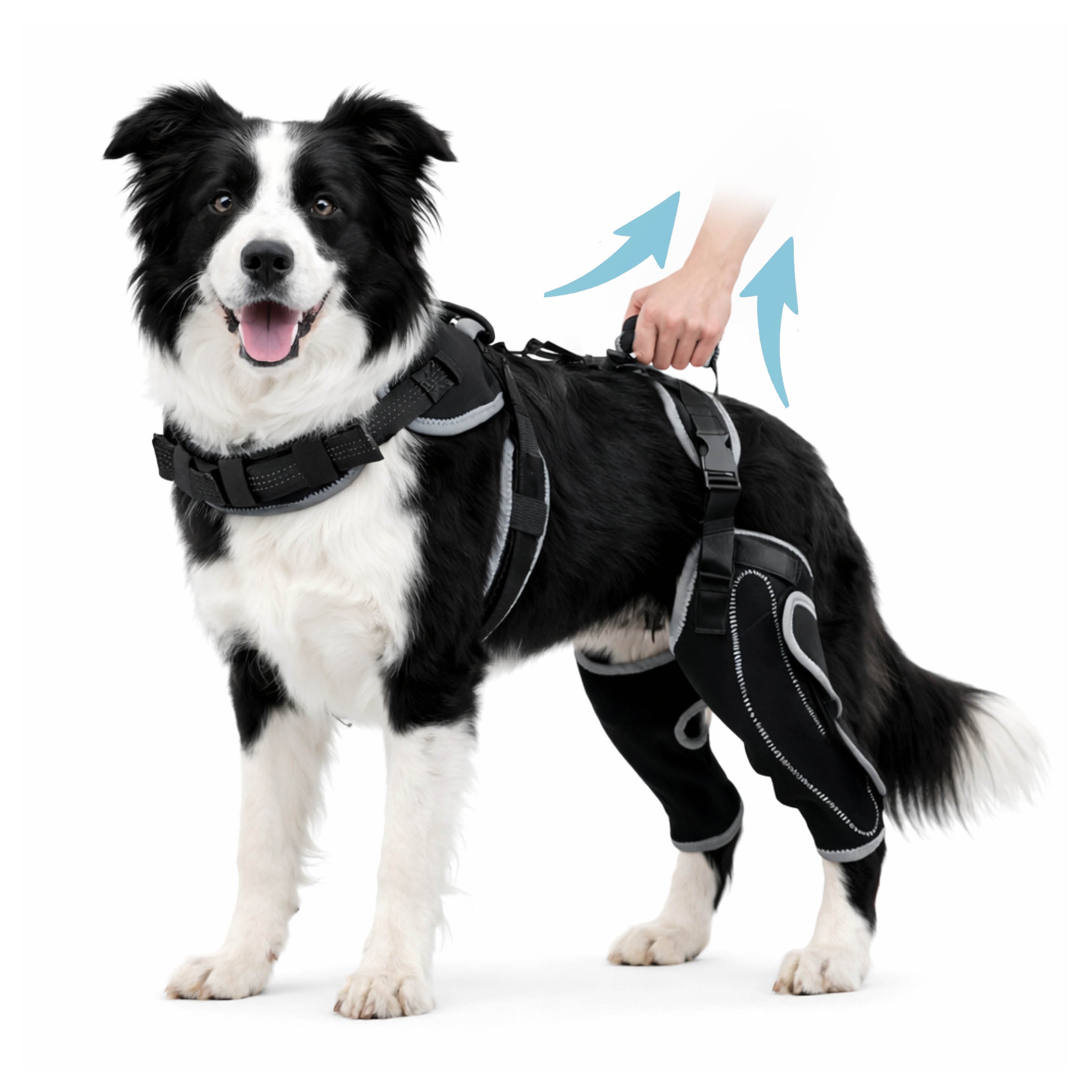 Dog ACL Knee Brace Pro with Rear Lift Handle & Enhanced