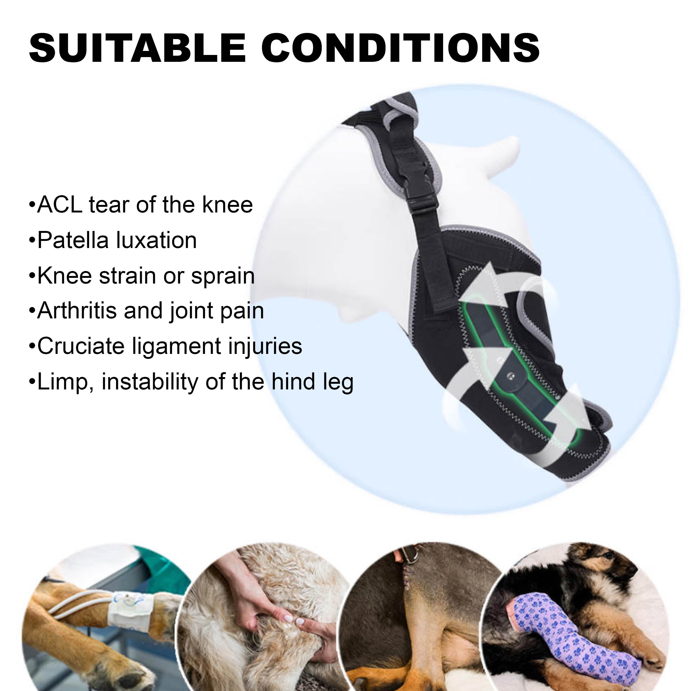 Dog ACL Knee Brace Pro with Rear Lift Handle & Enhanced