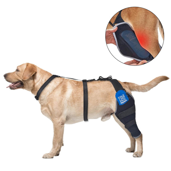 Dog Knee Support with Hot & Cold Pack