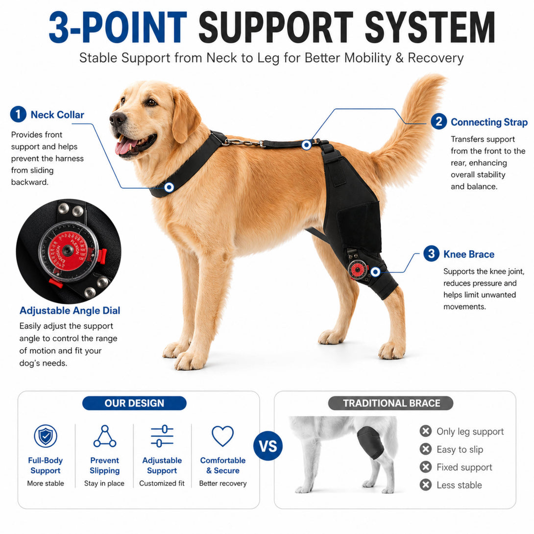 FlexiHinge Dog Knee Brace for Single Leg Support,Adjustable and Secure ...