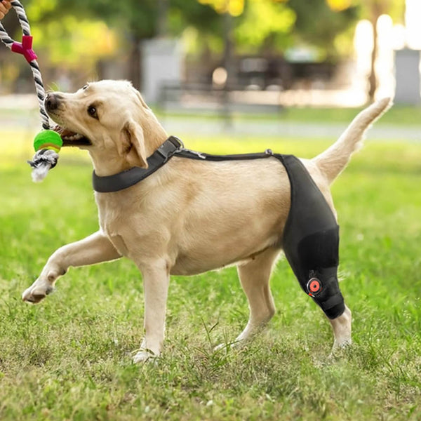 FlexiHinge Dog Knee Brace for Single Leg