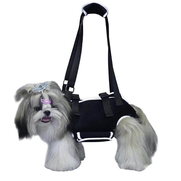 Full Body Dog Harness with Handle