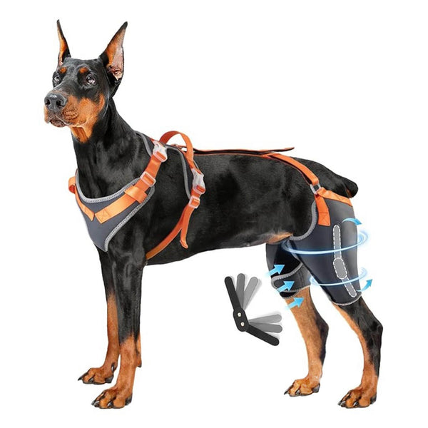 Dog ACL Knee Brace Pro — Chest Harness