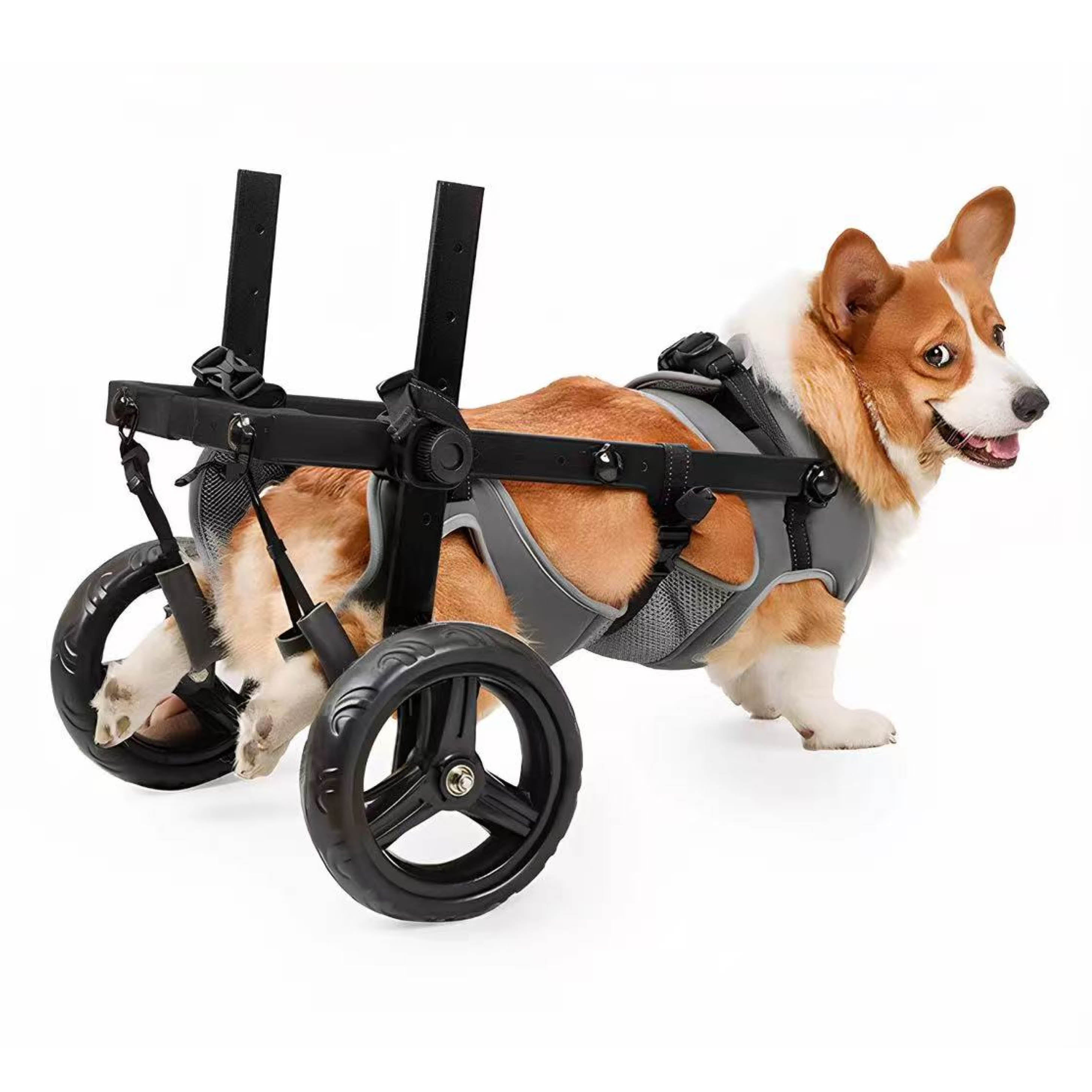 Lightweight Rear Wheelchair for Medium Dogs | PawPattz