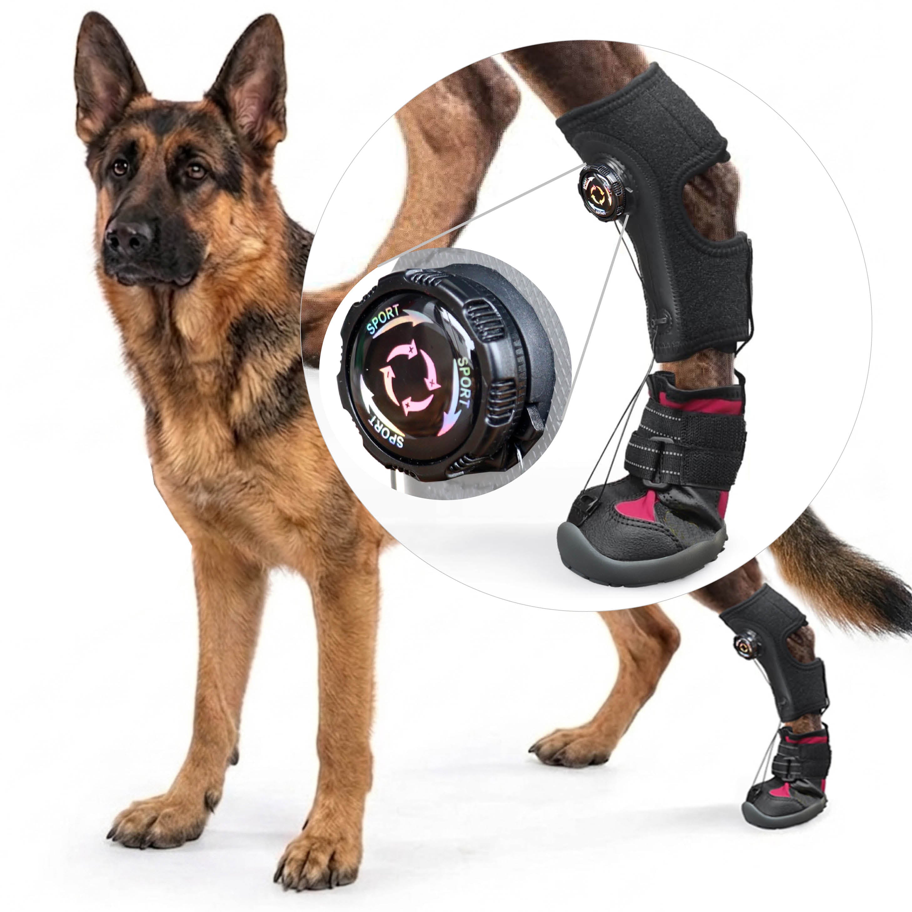 Dog Boot for Paw Dragging — Dial Adjustment for Precise Lift Control ...