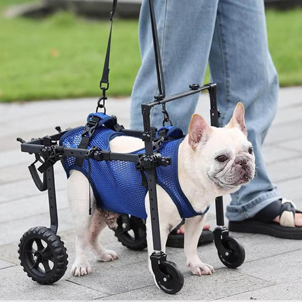Small Dog 4-Wheel Full-Support Wheelchair
