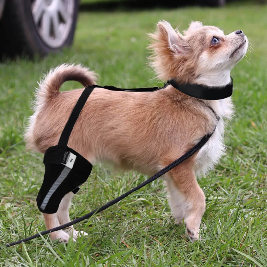 Single Leg Knee Brace Harness for Small Dogs – Support & Comfort – PawPattz