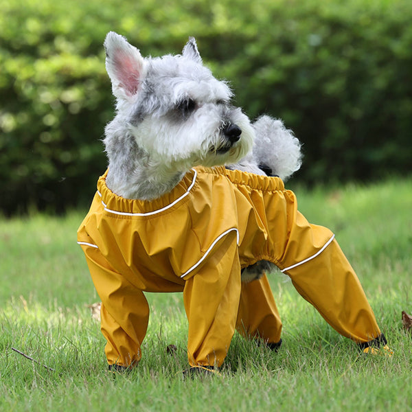 Waterproof Dog Boots – Colorful Chic