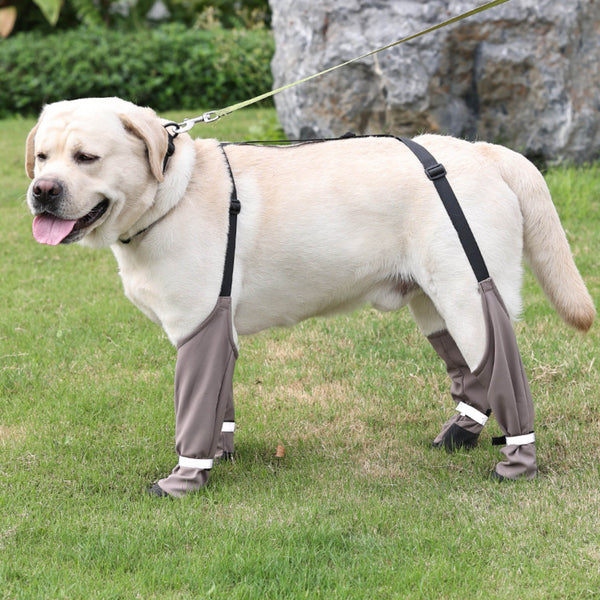Waterproof Dog Boots – Classic Comfort