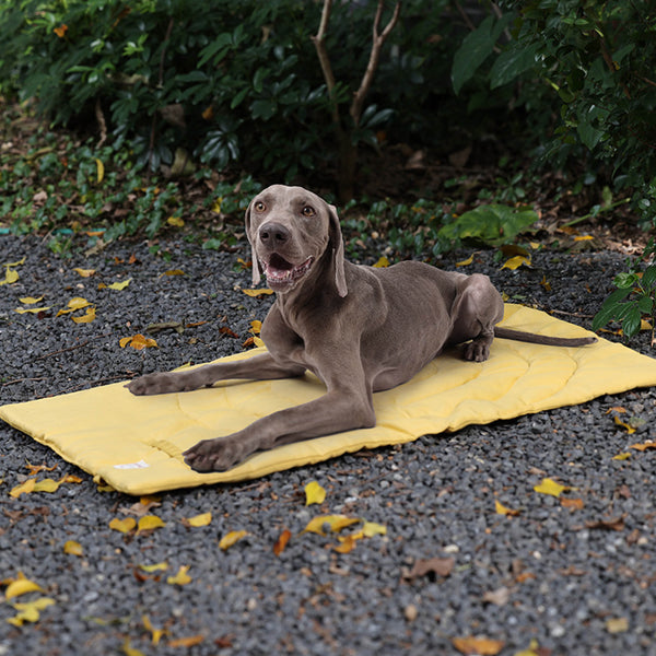 XL Foldable Waterproof Pet Bed Mat