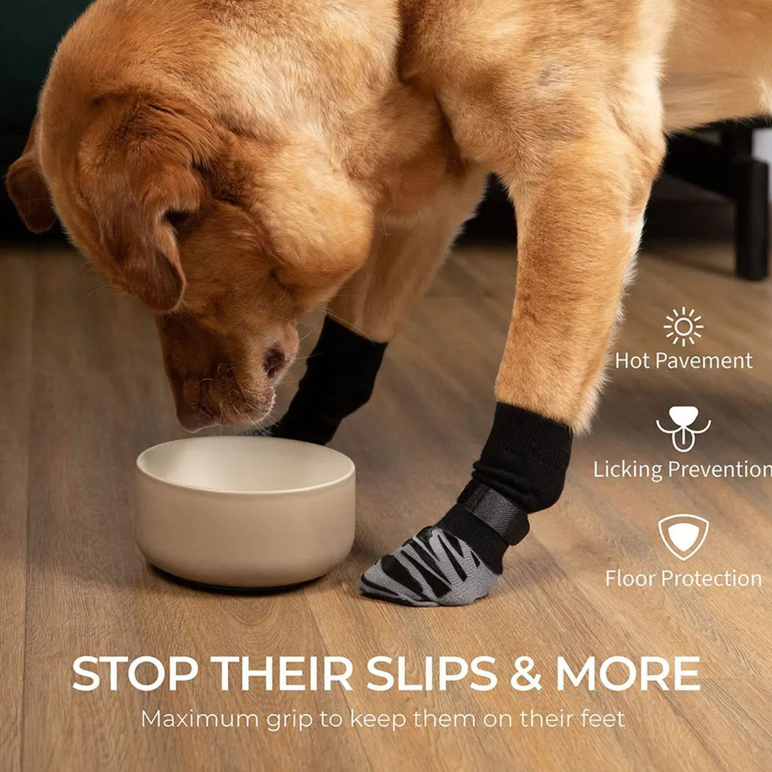 Anti - Slip Dog Socks with Extra Grip - PawPattz
