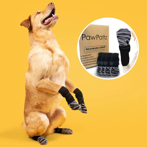 Anti - Slip Dog Socks with Extra Grip - PawPattz