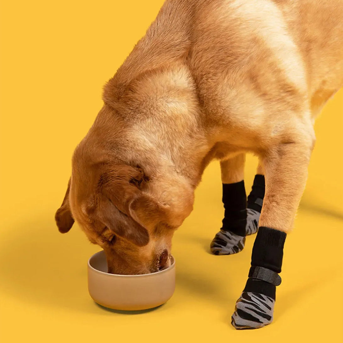 Anti - Slip Dog Socks with Extra Grip - PawPattz