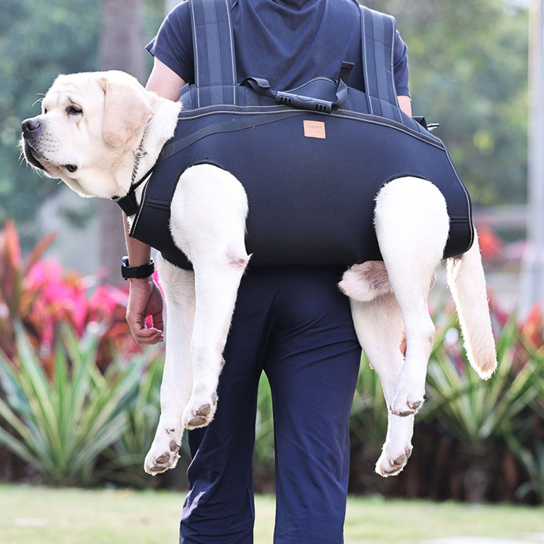 BigDog Comfort Carrier - PawPattz