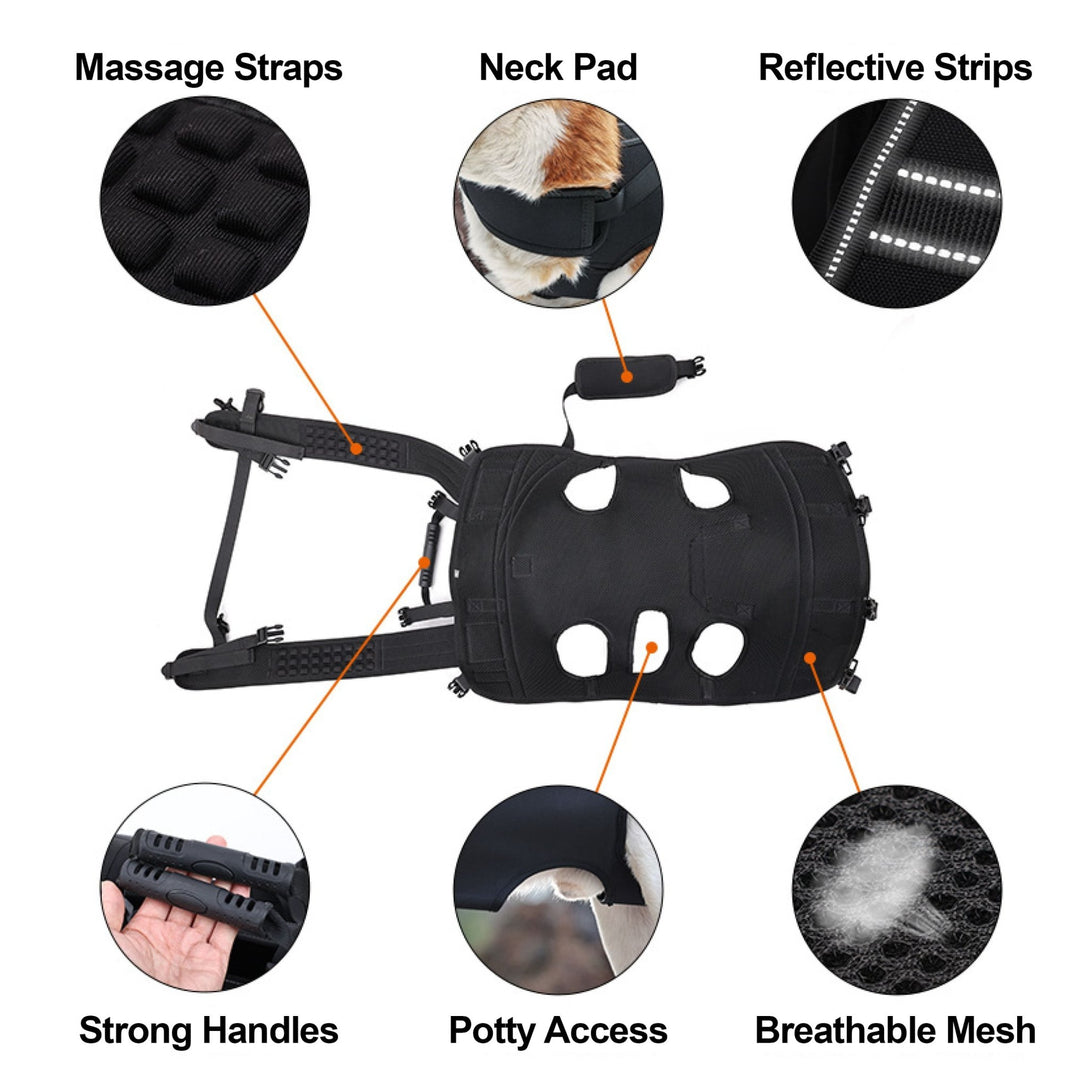 BigDog Comfort Carrier - PawPattz