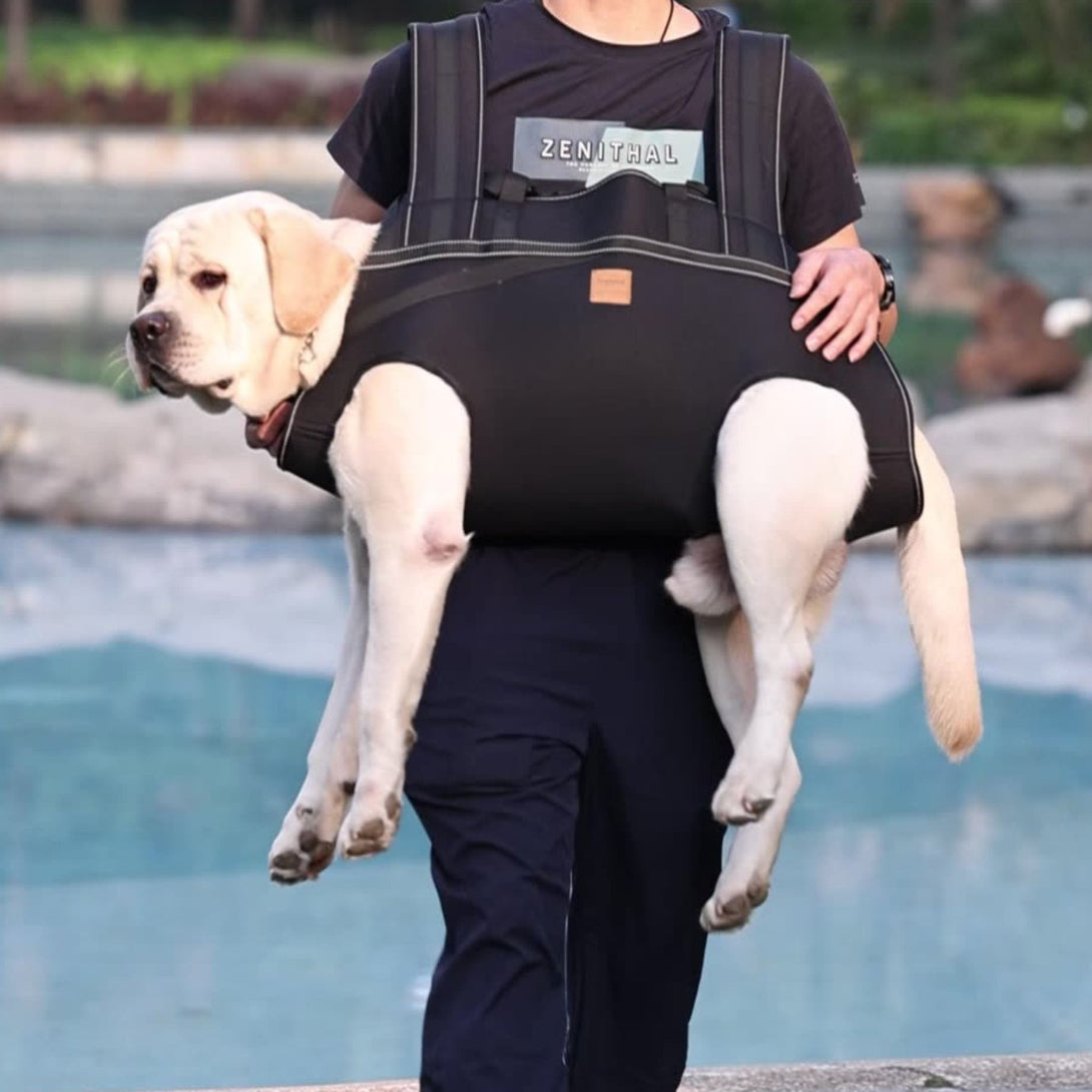 BigDog Comfort Carrier - PawPattz