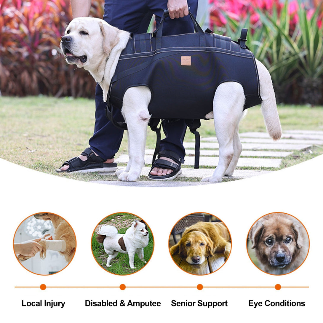 BigDog Comfort Carrier - PawPattz