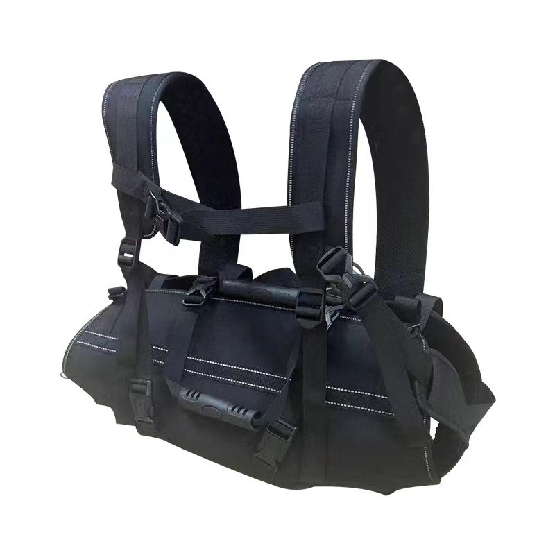BigDog Comfort Carrier - PawPattz
