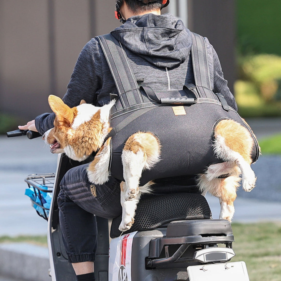 BigDog Comfort Carrier - PawPattz