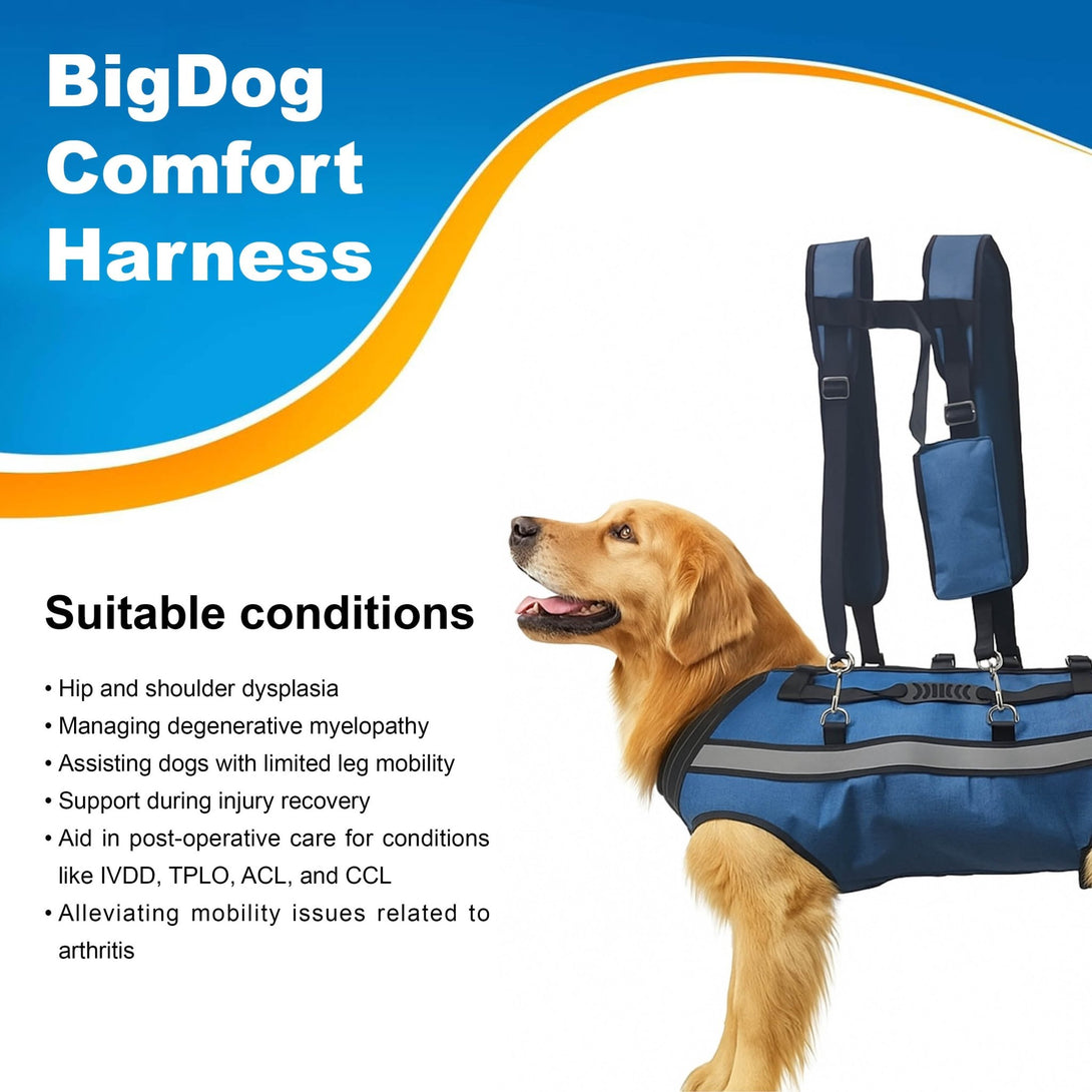 BigDog Comfort Harness – Dual Shoulder Support for Large Dogs - PawPattz