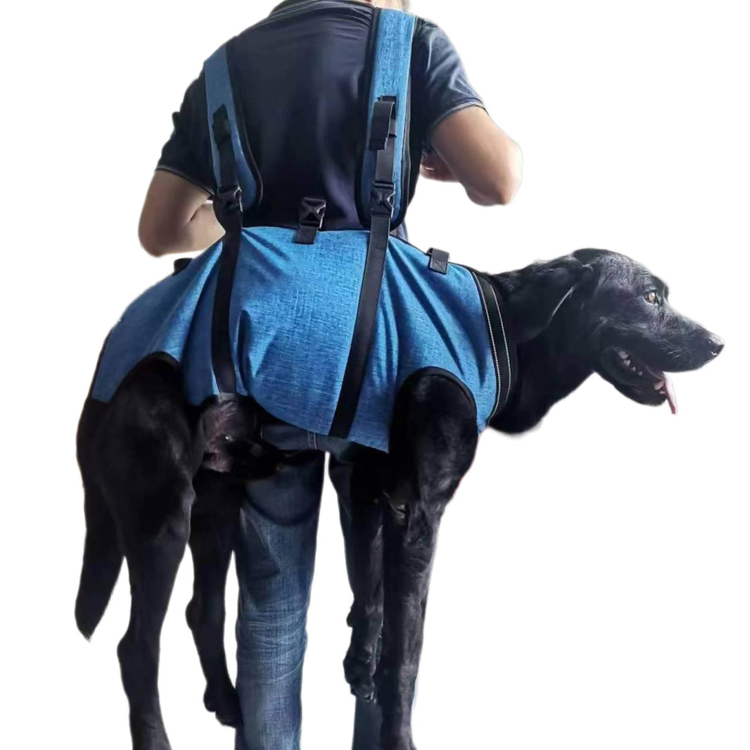 BigDog Comfort Harness – Dual Shoulder Support for Large Dogs - PawPattz