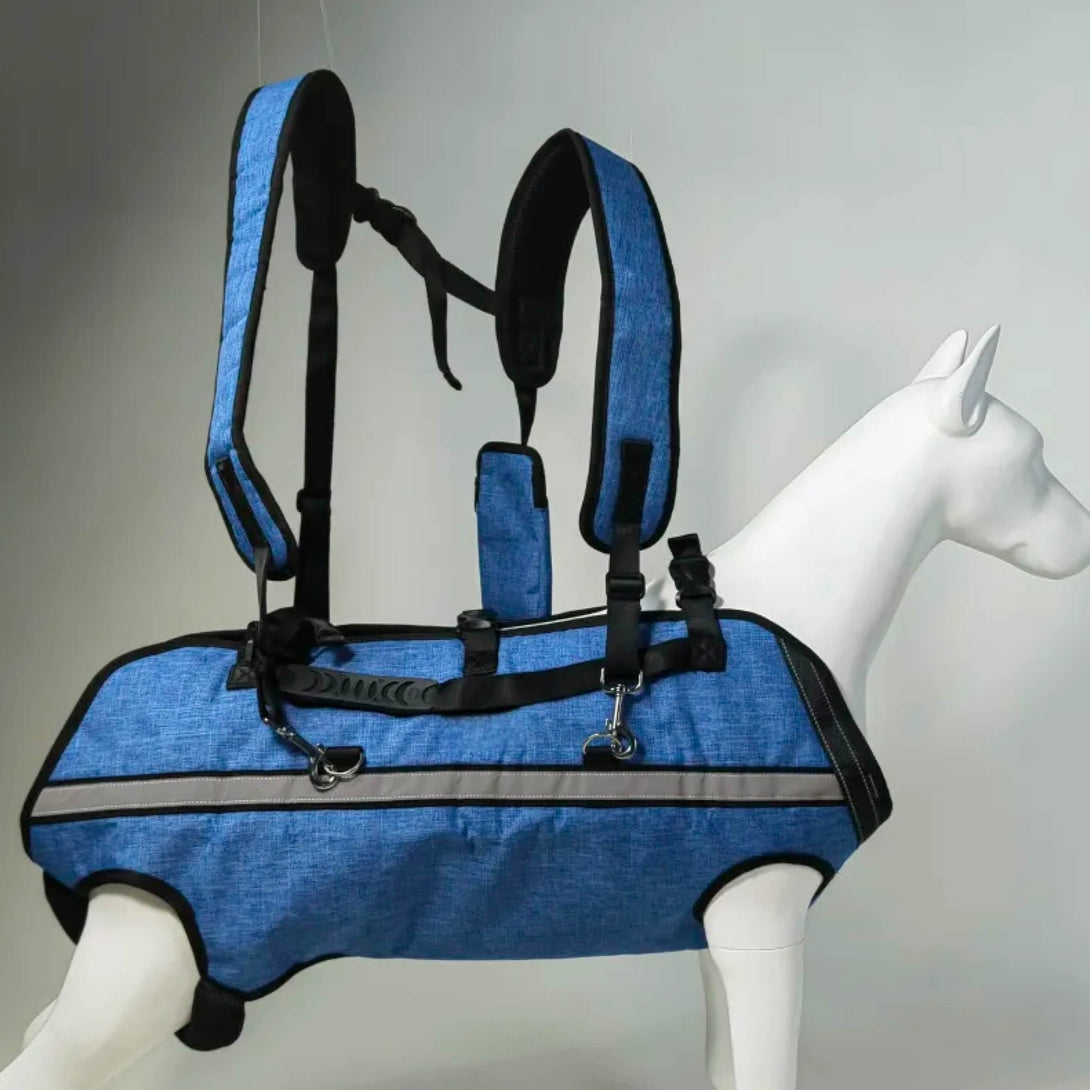 BigDog Comfort Harness – Dual Shoulder Support for Large Dogs - PawPattz