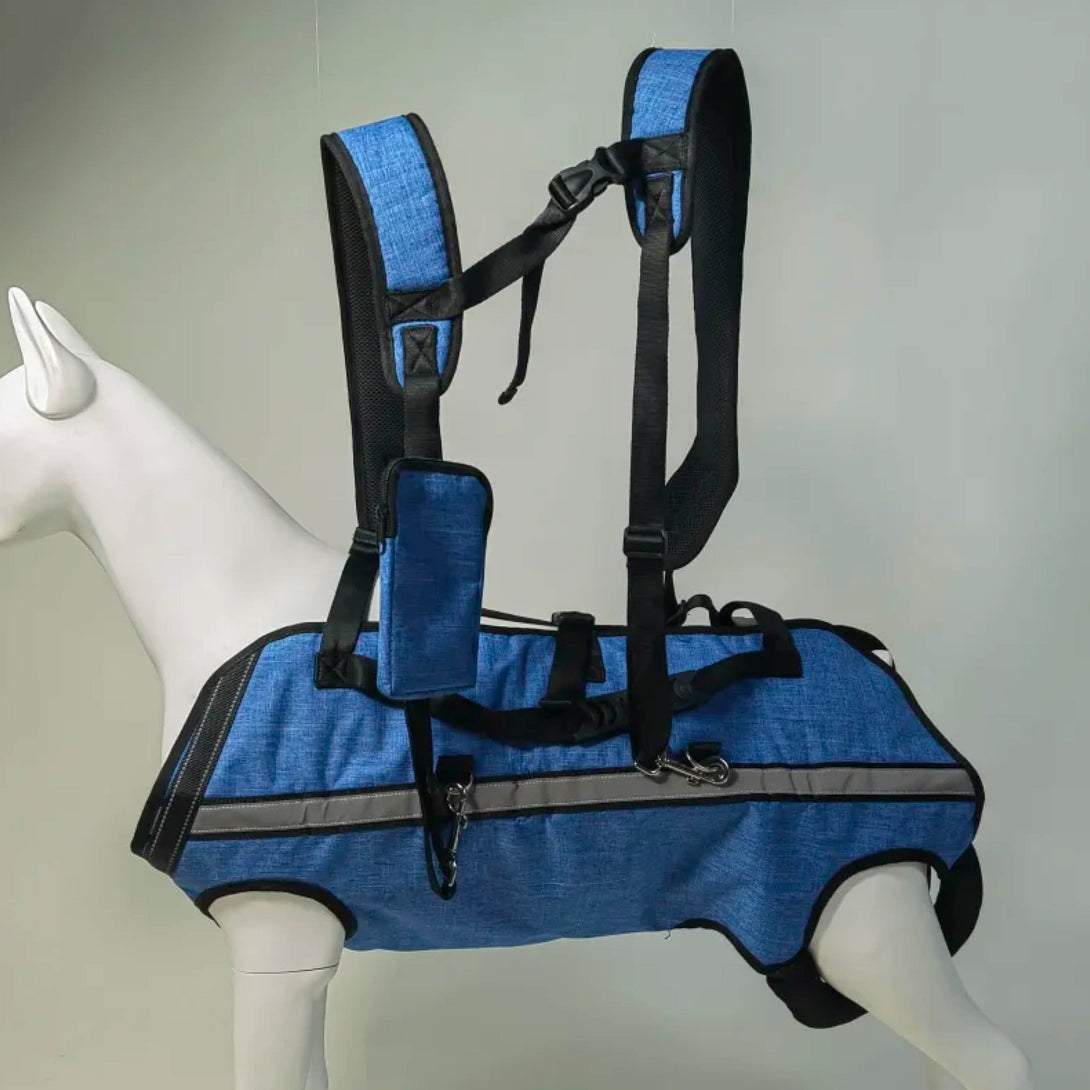 BigDog Comfort Harness – Dual Shoulder Support for Large Dogs - PawPattz