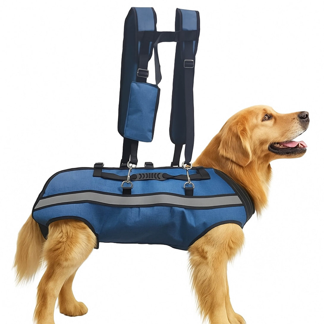 BigDog Comfort Harness – Dual Shoulder Support for Large Dogs - PawPattz