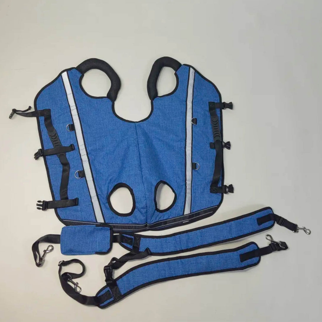 BigDog Comfort Harness – Dual Shoulder Support for Large Dogs - PawPattz