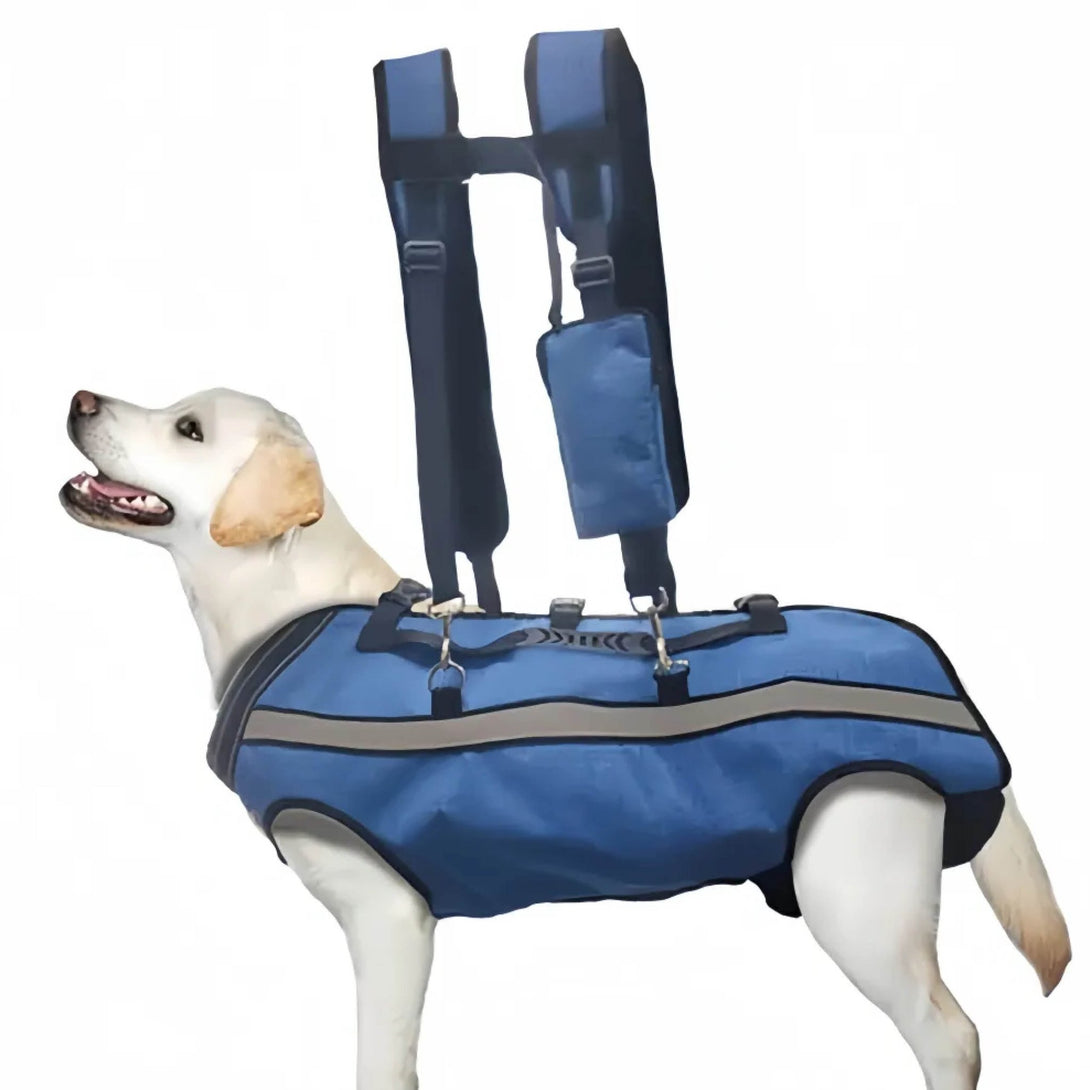 BigDog Comfort Harness – Dual Shoulder Support for Large Dogs - PawPattz
