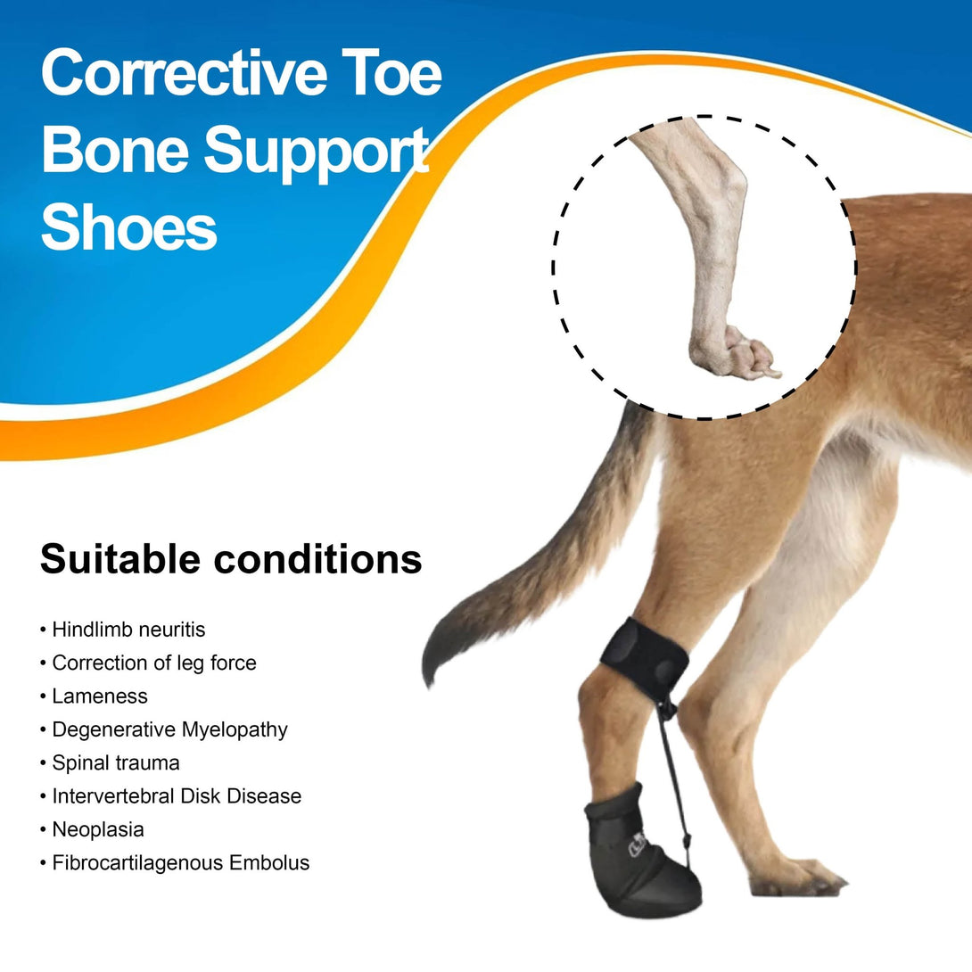 Corrective Toe Bone Support Shoes for Dogs - PawPattz