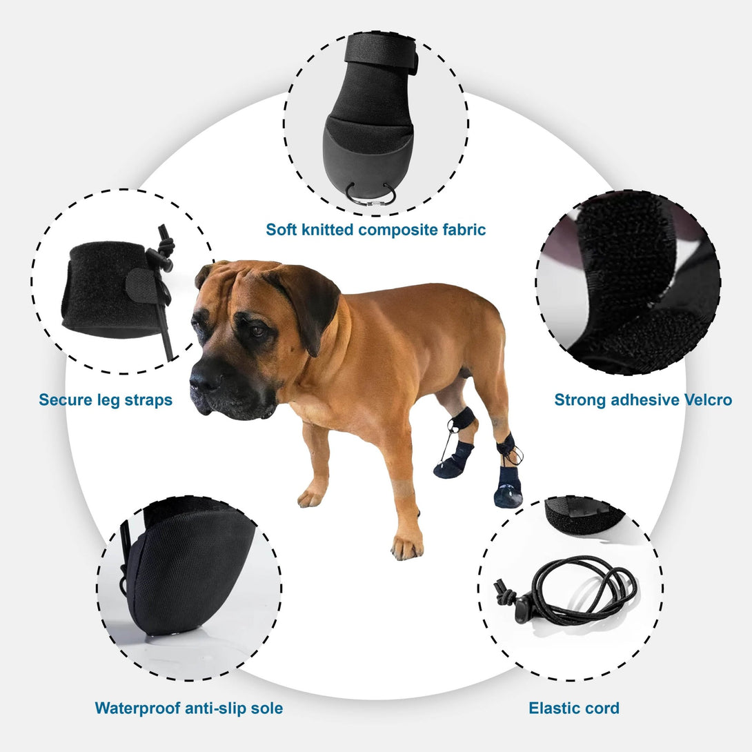Corrective Toe Bone Support Shoes for Dogs - PawPattz