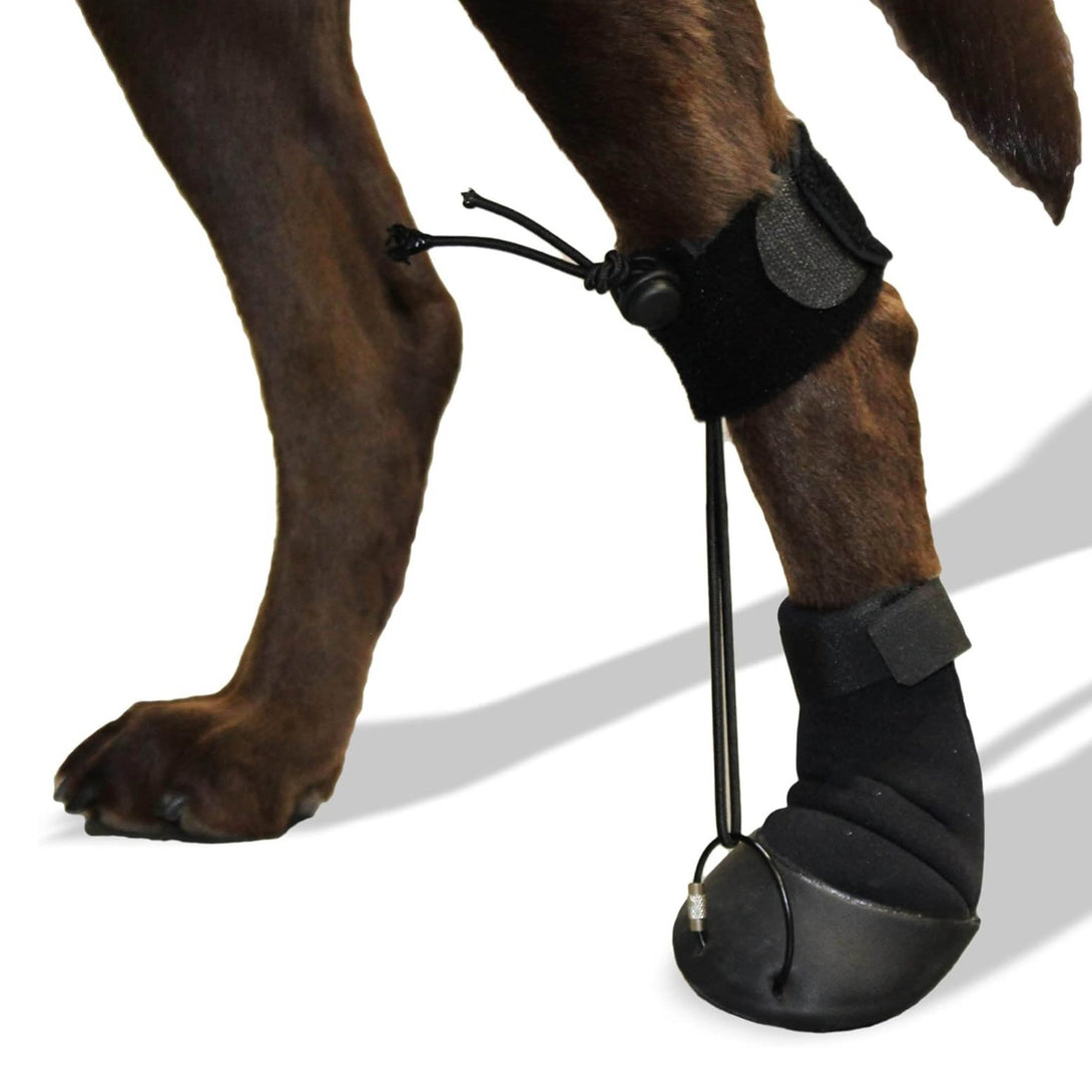 Corrective Toe Bone Support Shoes for Dogs - PawPattz