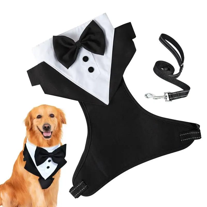 Dapper Canine Tuxedo - PawPattz