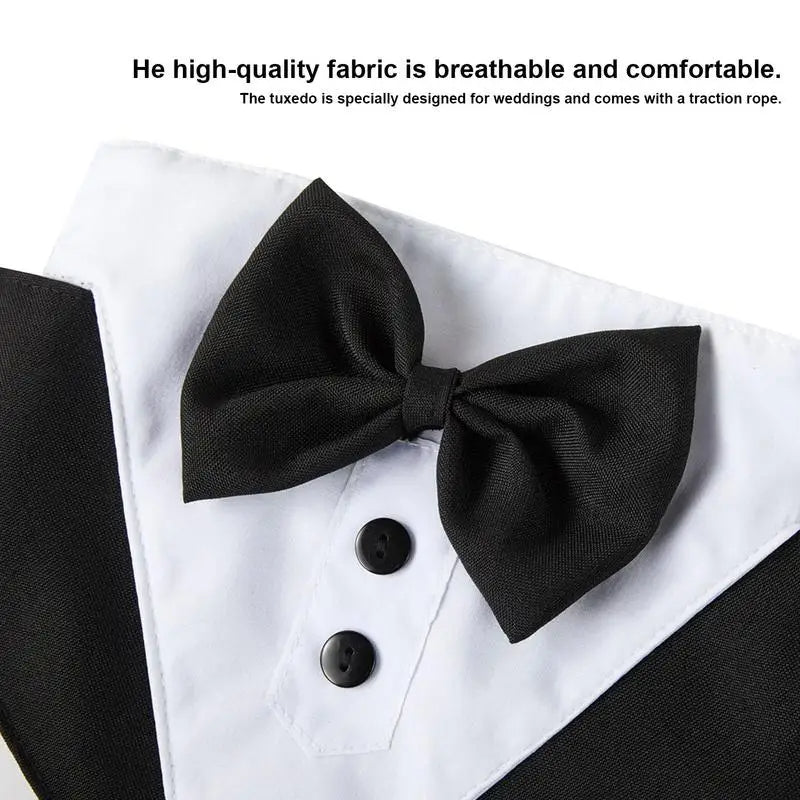 Dapper Canine Tuxedo - PawPattz