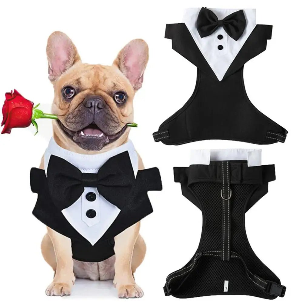 Dapper Canine Tuxedo - PawPattz