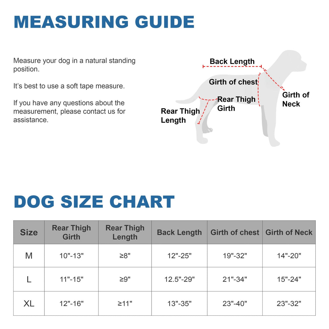 Dog ACL Knee Brace Pro+ - PawPattz