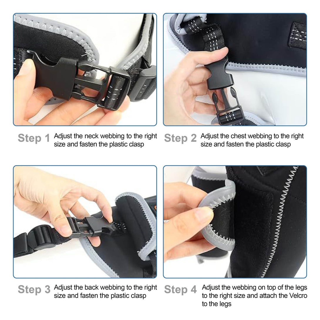 Dog ACL Knee Brace Pro+ - PawPattz