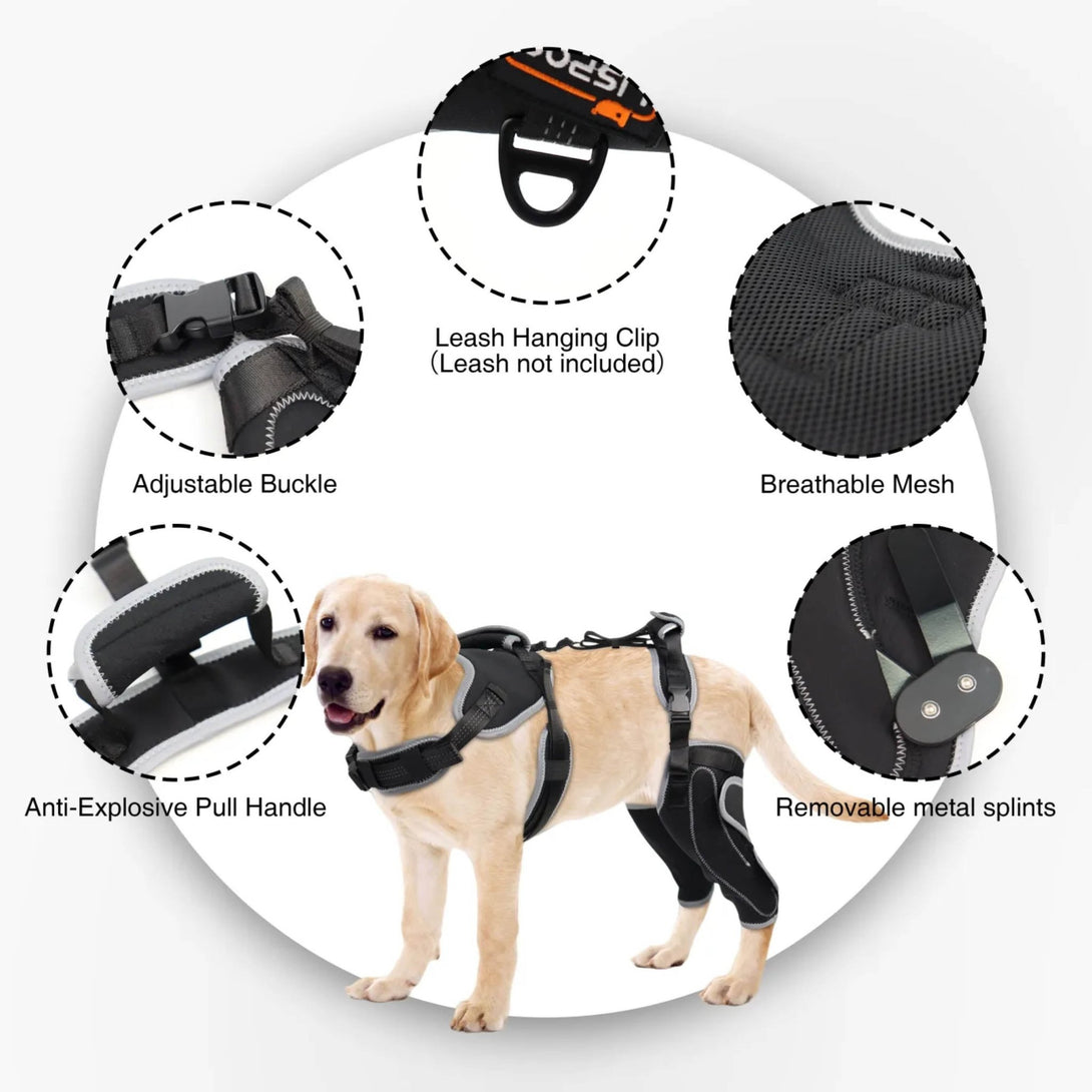Dog ACL Knee Brace Pro+ - PawPattz