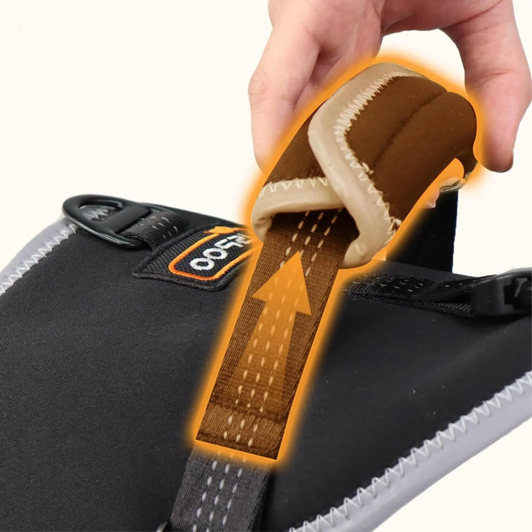 Dog ACL Knee Brace Pro+ - PawPattz