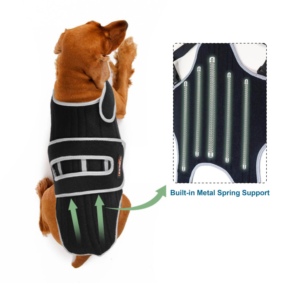 Dog Back Brace for IVDD & Spinal Support - PawPattz