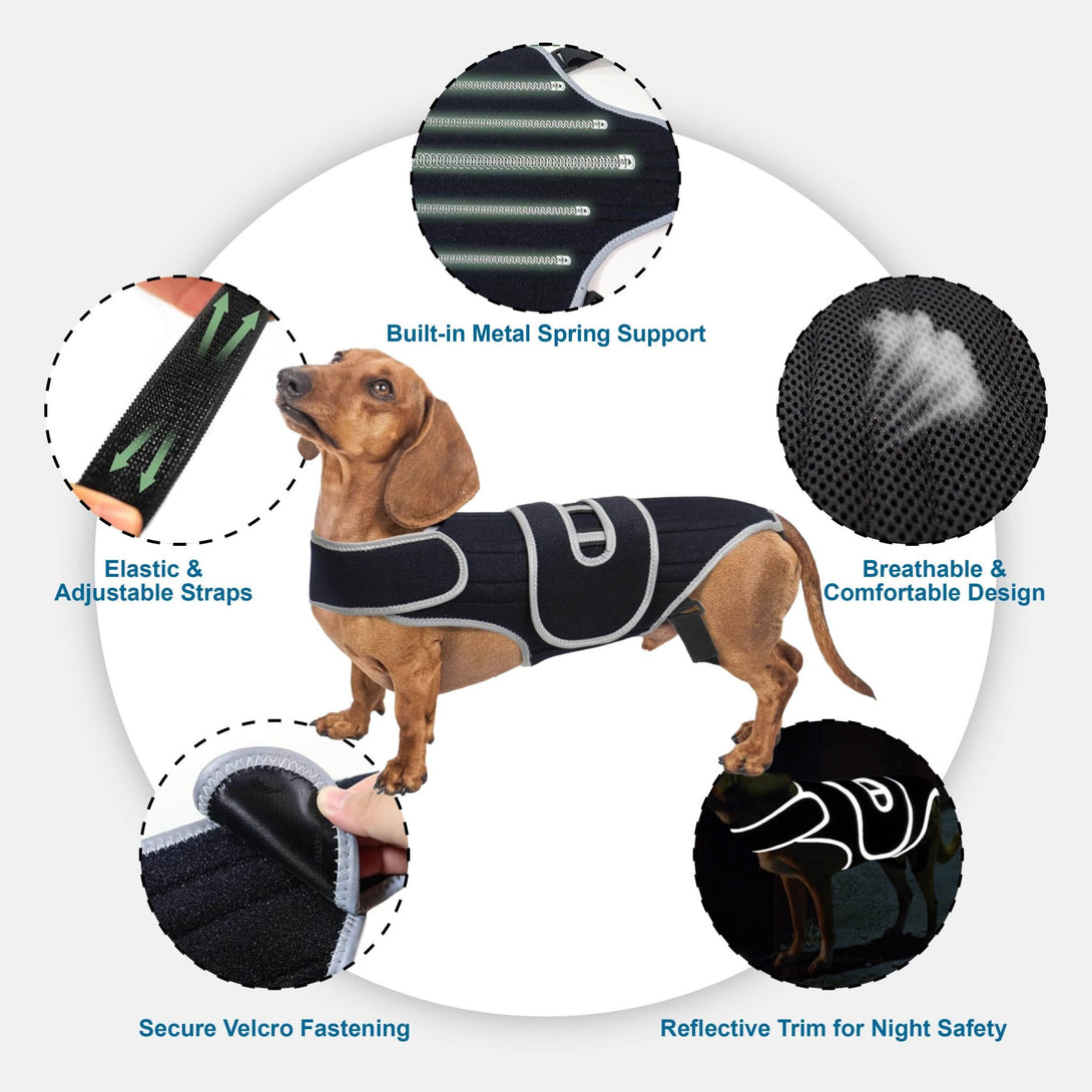 Dog Back Brace for IVDD & Spinal Support - PawPattz