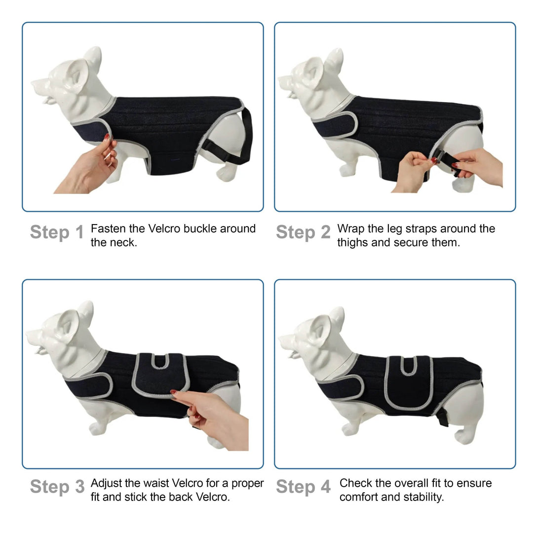 Dog Back Brace for IVDD & Spinal Support - PawPattz