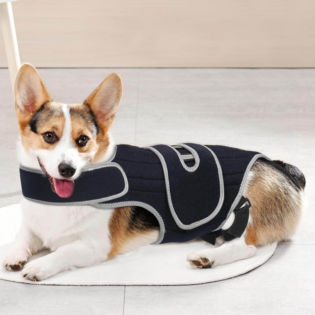 Dog Back Brace for IVDD & Spinal Support - PawPattz